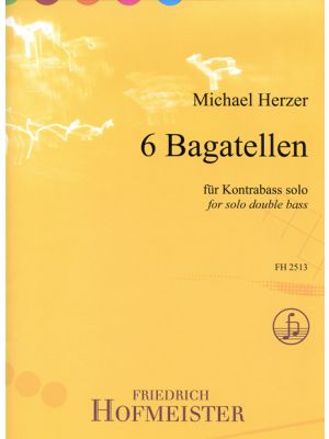 Michael Herzer poster for Solo Double Bass